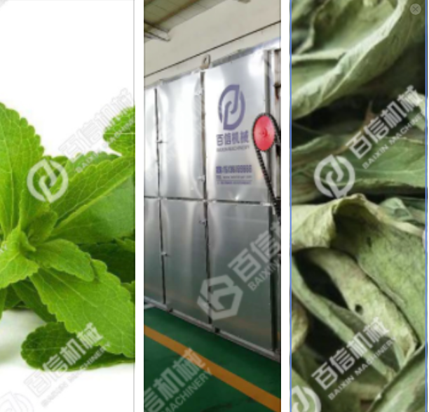 甜叶菊烘干机