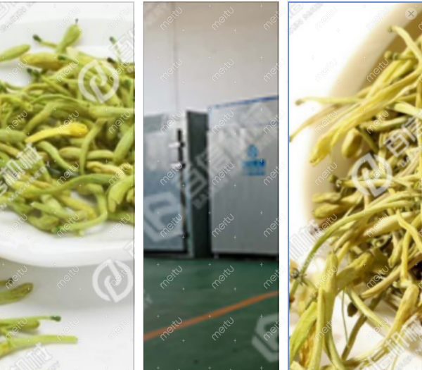 j菊花烘干机