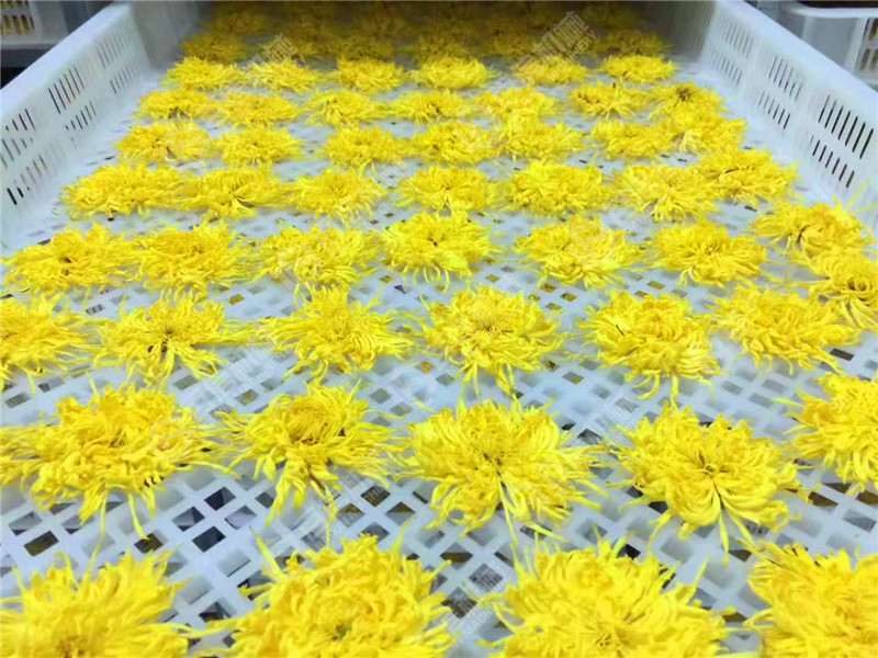 空气能菊花烘干机价格