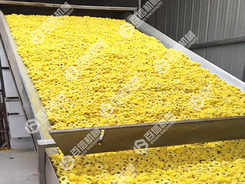 菊花烘干机价格