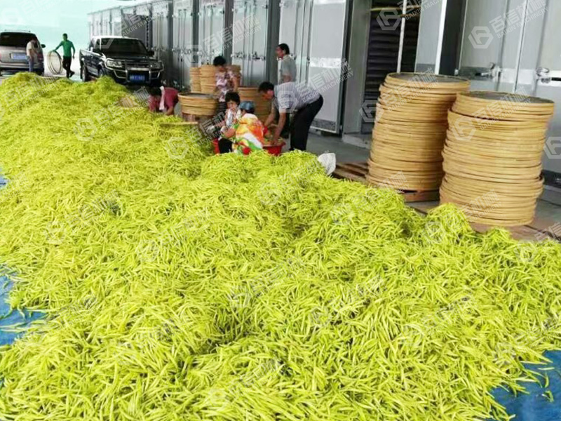 黄花菜烘干机2