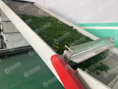 海苔烘干现场
