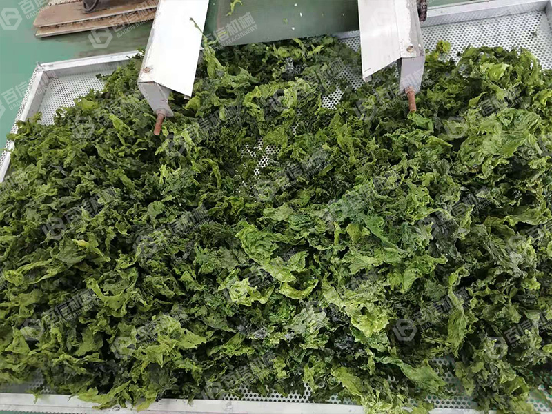 海苔烘干机2
