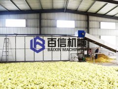  全自动菊花烘干机厂家