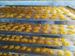 菊花烘干机厂家跟我们带来了怎样的便利