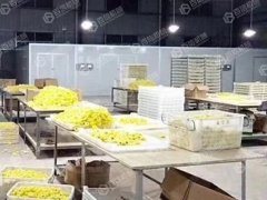 菊花热泵烘干机是由什么组成的